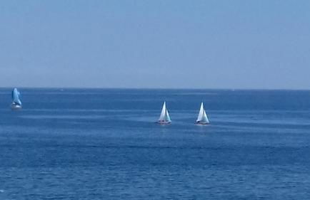 Acqua di Mare - Foto 7