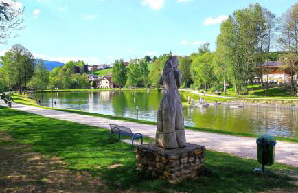 Apartment Rehblick Hohenwarth - Photo 27