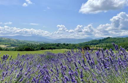Casa fiordaliso - Foto 25