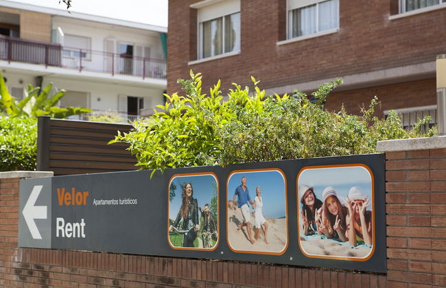 Velor Apartments - Photo 41