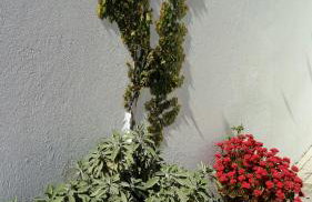 Norte Hospedagem - Photo 16