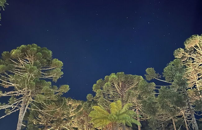 Bulawayo Lodge - Foto 47