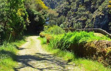 A Casa dos Avós - Alojamento Local - Foto 69