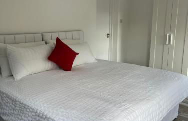 Yugogo One-Bedroom Apartment 37 London Road - Photo 16