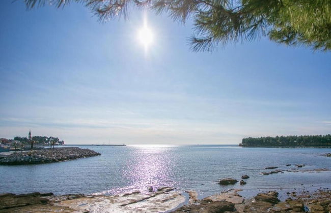 Villa in Novigrad With Private Pool and Beach - Foto 30