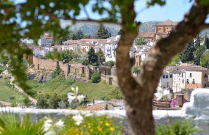 City Central Studio +Private Garden +Amazing View - Photo 23