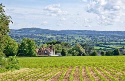 2 Bed in Sherborne oc-87915 - Foto 21