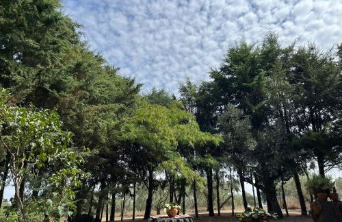 Quinta Santo Antonio do Rio - Foto 41