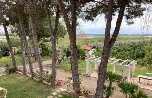 Agriturismo La Stornara - Foto 45