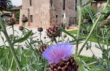 Agriturismo Corte Davini - Photo 46