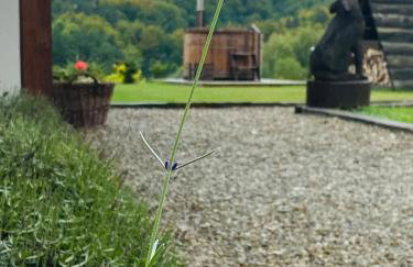 Wilcza Chata - Photo 73