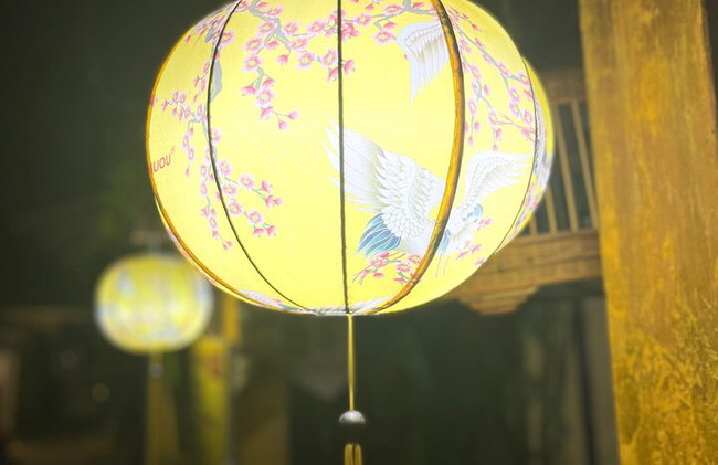 Da Nang Hội an Coconut Basket Boat and Hội An Night Tour - Photo 7
