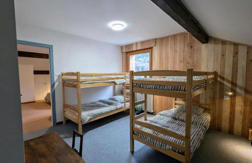 Hêtre pourpre - Foto 19