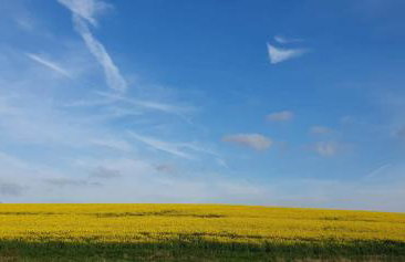 Church House Hut - Foto 24