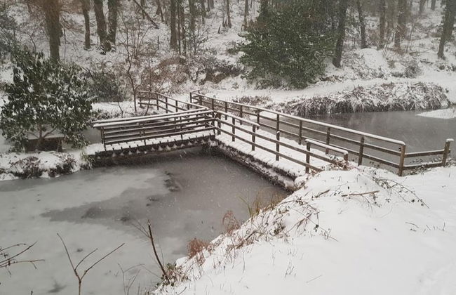 Davy Cottage in the Countryside With Horse Riding - Photo 20
