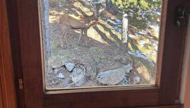 Chalet Vue sous cet Angles - Foto 5