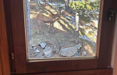 Chalet Vue sous cet Angles - Photo 5