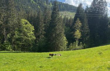 Falkaunest cozy Apartment mit Sauna am Feldberg - Foto 79