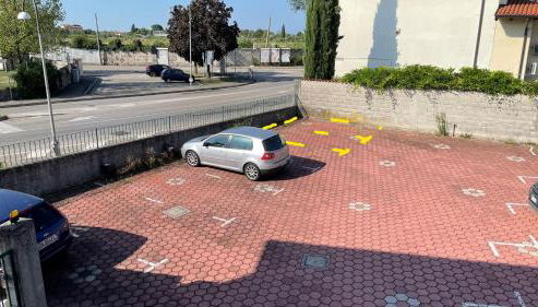 Rose e Frutta - Yellow Daisy - Foto 5