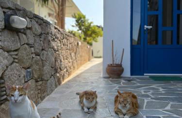 Jenny Apartments - Foto 21