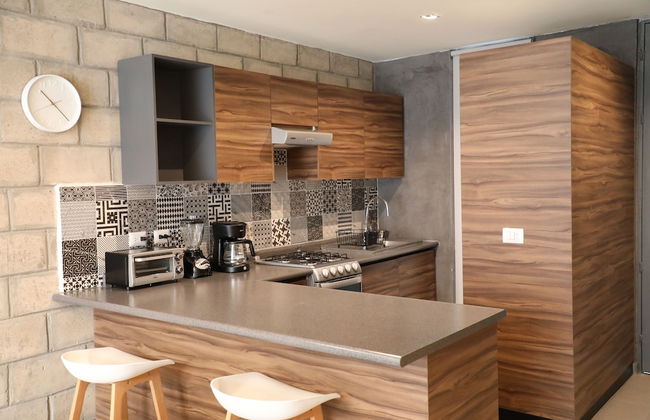 Tribu Centro Histórico - Foto 69