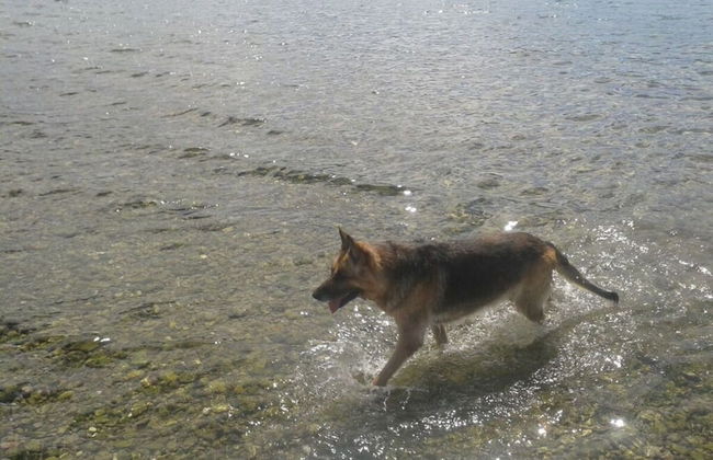 Appartement Lady Daniela - Foto 10