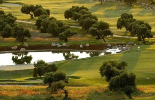 Casa Los Olivos - Foto 48