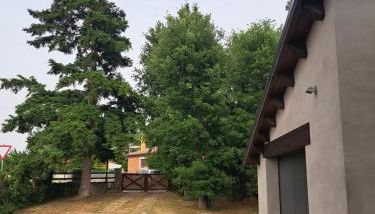 La casa del pi - Foto 2, Garden, Garden view