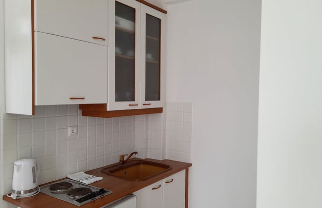 Ippocampos - Foto 44