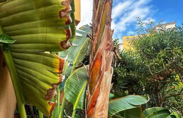 Indalia Natura, apartamento nudista en Vera playa - Foto 2