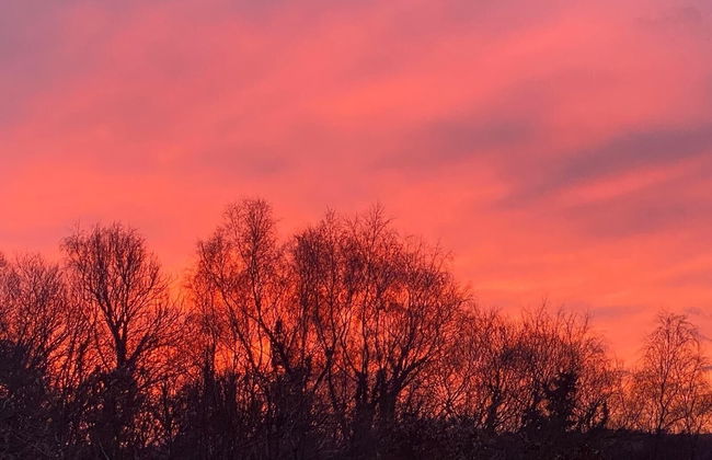 Tranquil Cabin Retreat Near Chepstow - Foto 18