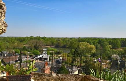 Le Gite de la Loire - Photo 79