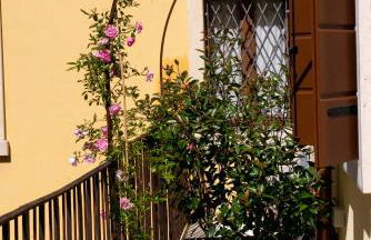 REGI Apartments - Foto 13