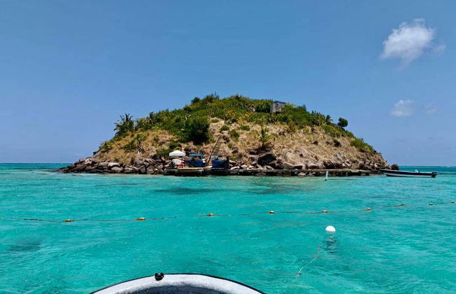 Tour en barco por Providencia - Foto 2