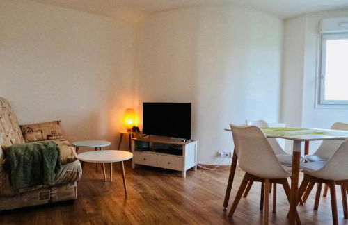 Appartement Cosy Joué-Les-Tours - Foto 5
