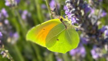 Hébergement à la campagne - Foto 5