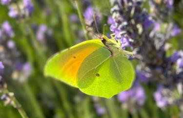 Hébergement à la campagne - Foto 5