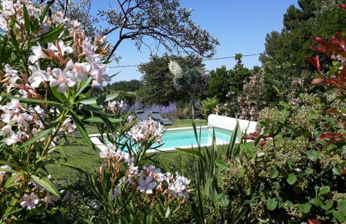 Parfums de Provence "L'Oliveraie" - Piscine chauffée & Spa - Foto 1