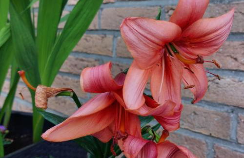 Ferienwohnung Pension Waldblick - Foto 39