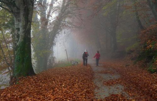 Apartment Sant Francesc - Photo 40