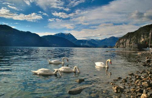 Lake View Apartments - Foto 19