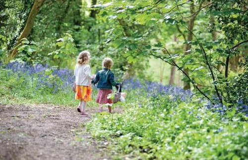 St Ives Fir Tree Lodge - Foto 31