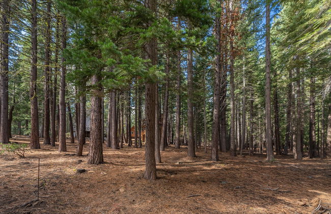 Tahoe Donner Cabin in the Woods by Sierra Getaways - Photo 28