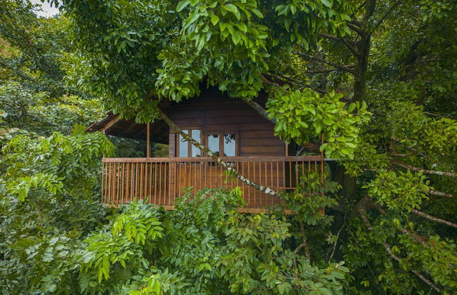 amã Stays & Trails The Malabar Villa Hibiscus, Kozhikode - Foto 30