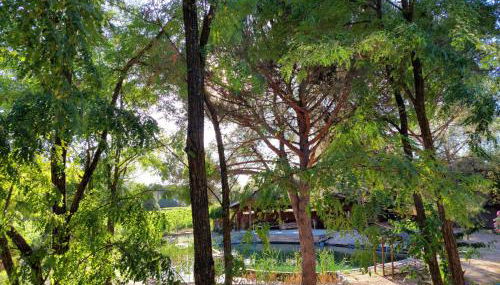 L'Etang Des Cigales - Foto 3