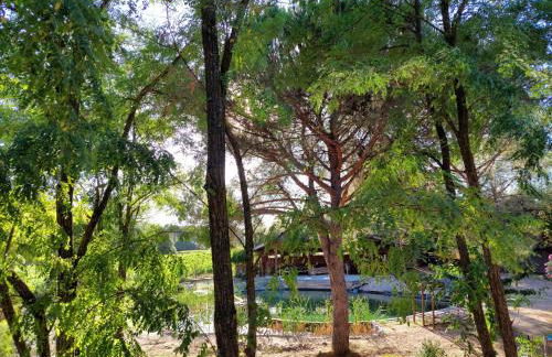 L'Etang Des Cigales - Foto 3