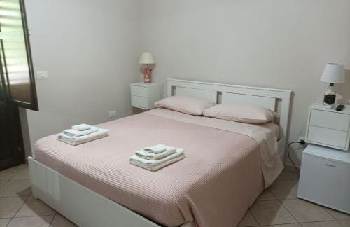 Tenuta Vitale - Azienda agricola multifunzionale - Foto 2