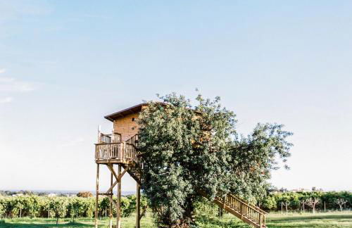 Conversas de Alpendre - Foto 10