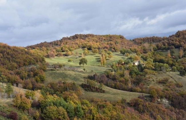 Spacious Countryside Escape - Foto 27