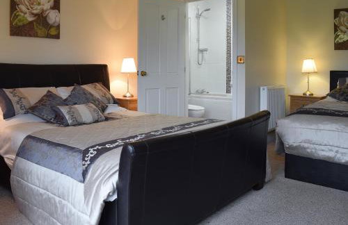 Maesbangor Farmhouse - Foto 17